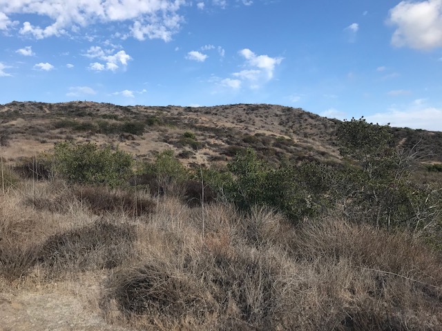 Mount Calavera stands beside Sage Creek High School. Environmentally aware students spoke their opinions about the Leaders Summit On Climate and the impact these leaders' decisions have on the future. 