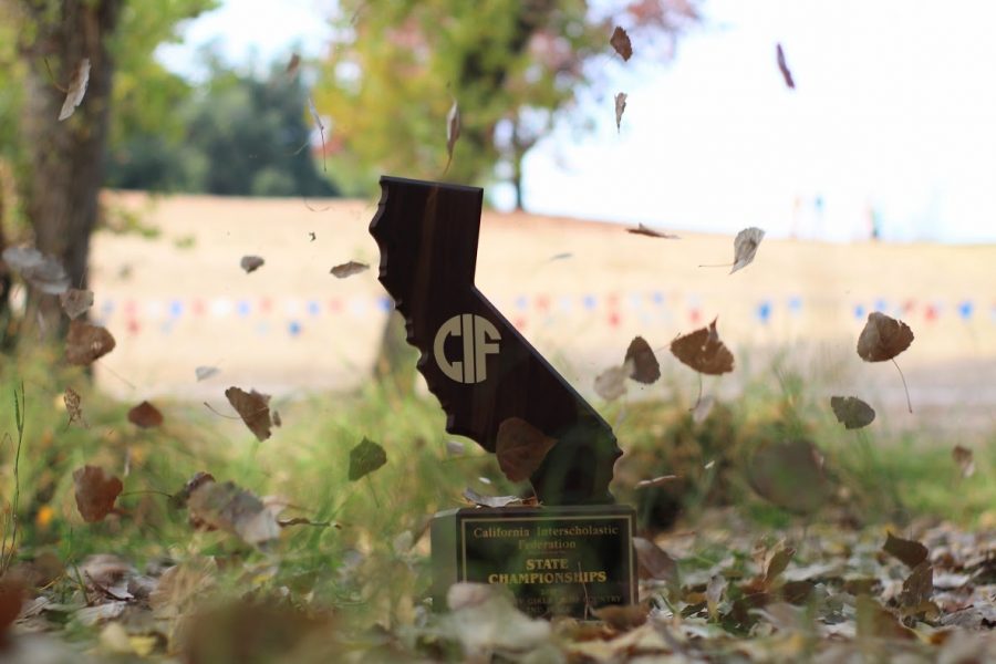 The Sage Creek cross country team will look to hoist the C.I.F. trophy once again. They will need some help from a few college-bound runners to help them cross the finish line.