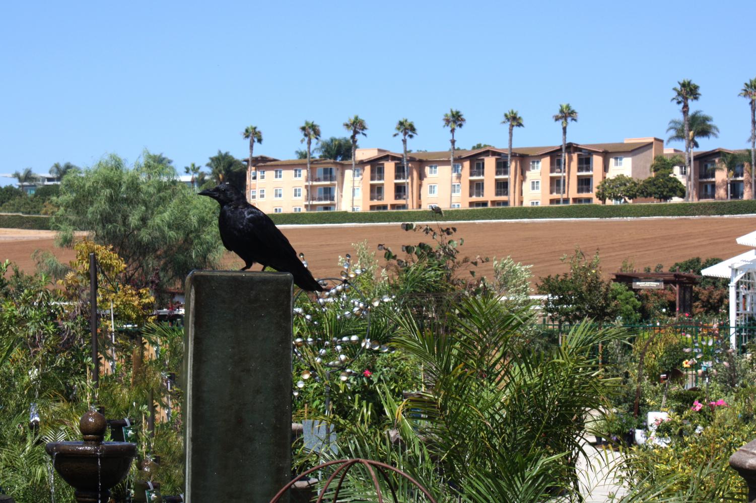 Labor Day Weekend in Carlsbad