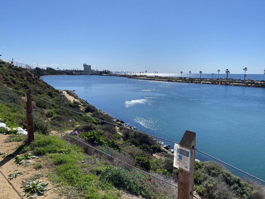 The trail overlooks the wonderful lagoon. The Agua Hedionda Lagoon is a peaceful volunteering opportunity and it is highly recommended to go check out.