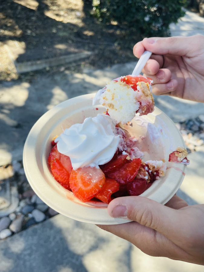 A customer eats The Strawberry Shack’s famous strawberry shortcake. Their shortcake is made with fresh strawberries, angel food cake and homemade whip cream.
