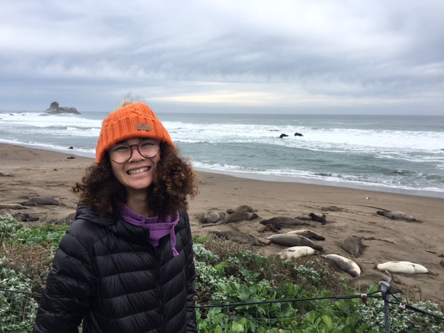 Madeline Mack on the Northern California coast. Mack will be attending Stanford University in the fall. 