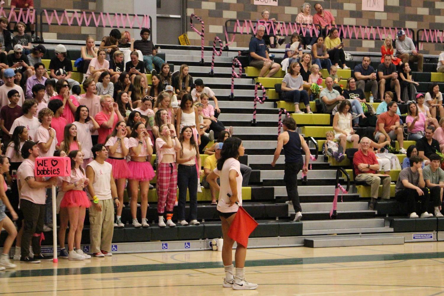 Girls Volleyball Celebrates Seniors Night