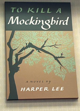 Banned Books 2022 – To Kill a Mockingbird – Marshall Libraries