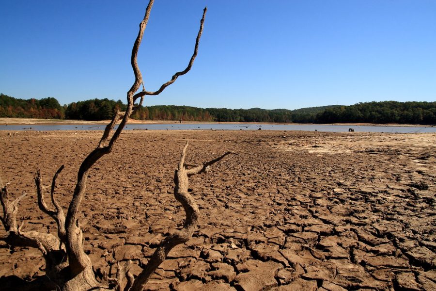 While some people adore lucious and vibrant green lawns, Californians enjoy the more dry and droughtful look Carlsbad has to offer. Carlsbad now ranks number one in the best deserts in the world, surpassing the Sahara Desert and Death Valley.