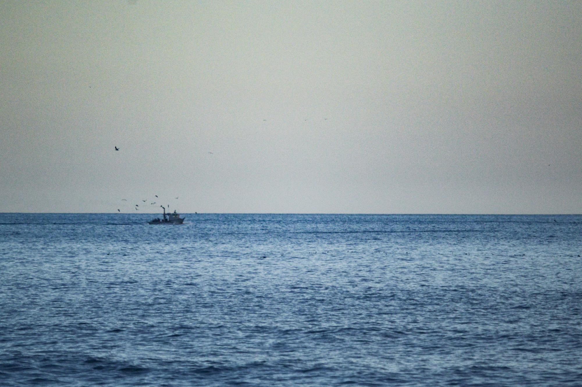 A Day on Our Carlsbad Coast