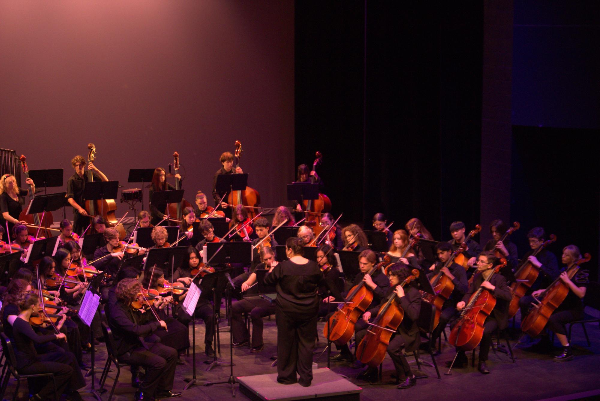 Haunting Harmonies: Spooky Scary Strings Concert highlights CUSD Orchestras