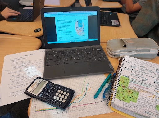 AP students manage heavy workloads, with assignments adding up quickly. The demands require strong time management and resilience to succeed.