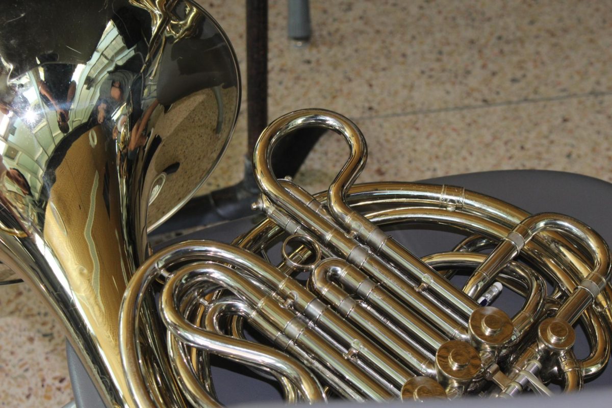 A bronze French horn used for a symphony orchestra. Golden metal and a golden sound.