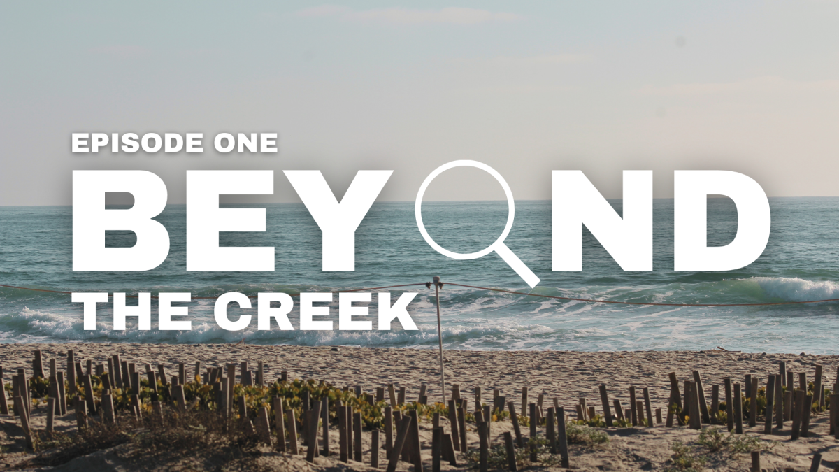 Beyond The Creek: August 29, 2025