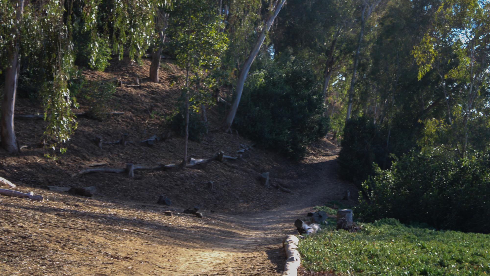 Carlsbad Terrain Treasures: Hosp Grove Park Through Photos