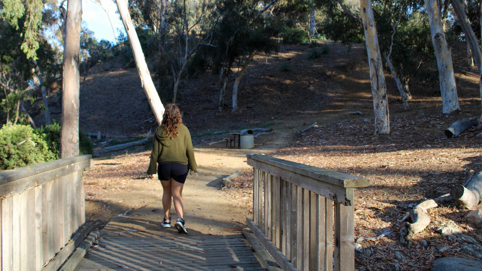 Carlsbad Terrain Treasures: Hosp Grove Park Through Photos