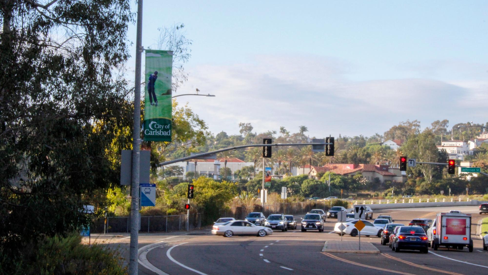 Carlsbad Terrain Treasures: Hosp Grove Park Through Photos