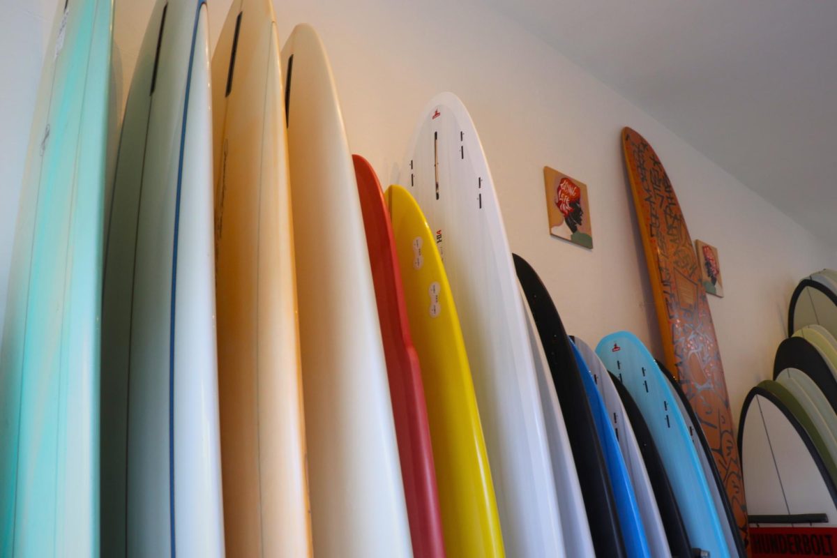 Some of the colorful surfboards at Freeman Street Surf Shop are propped up against the wall. There are many sizes and styles sold.