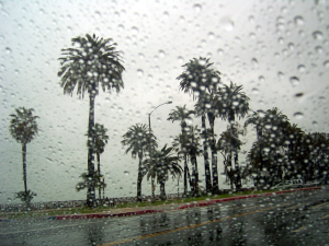 Los Angeles, California, receives an unexpected bout of rain. In mid-October, storms struck the southern coast, resulting in many infrastructure-related issues.