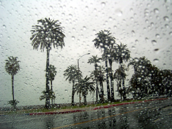 Los Angeles, California, receives an unexpected bout of rain. In mid-October, storms struck the southern coast, resulting in many infrastructure-related issues.