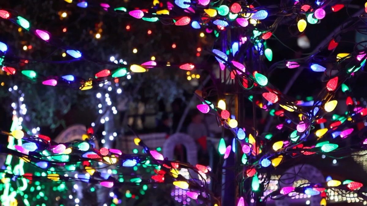 The Palusso Family Light Show: Spreading Holiday Cheer