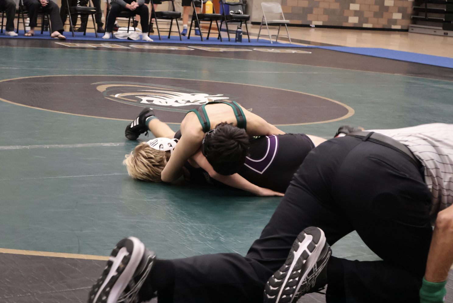 Wrestling Match in Photos