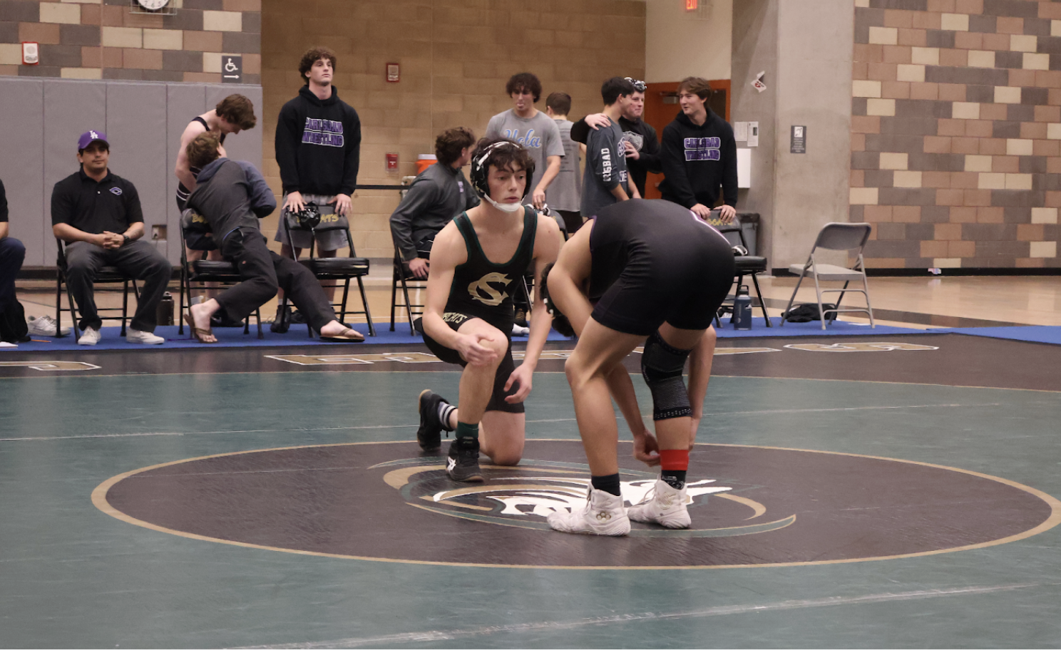 Wrestling Match in Photos