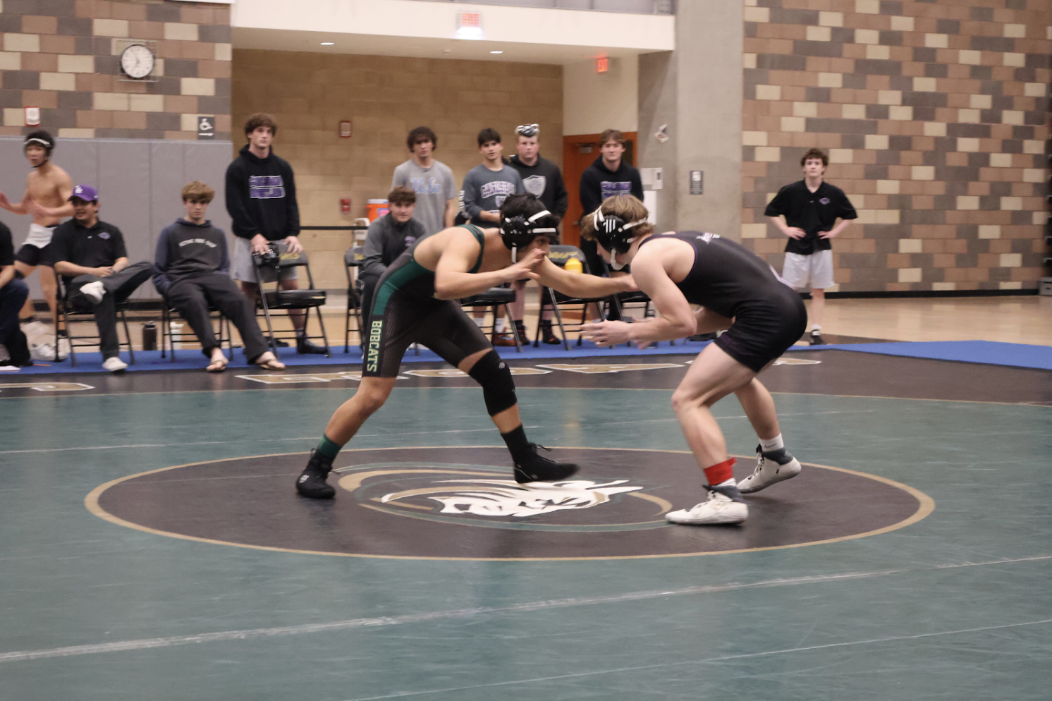 Wrestling Match in Photos