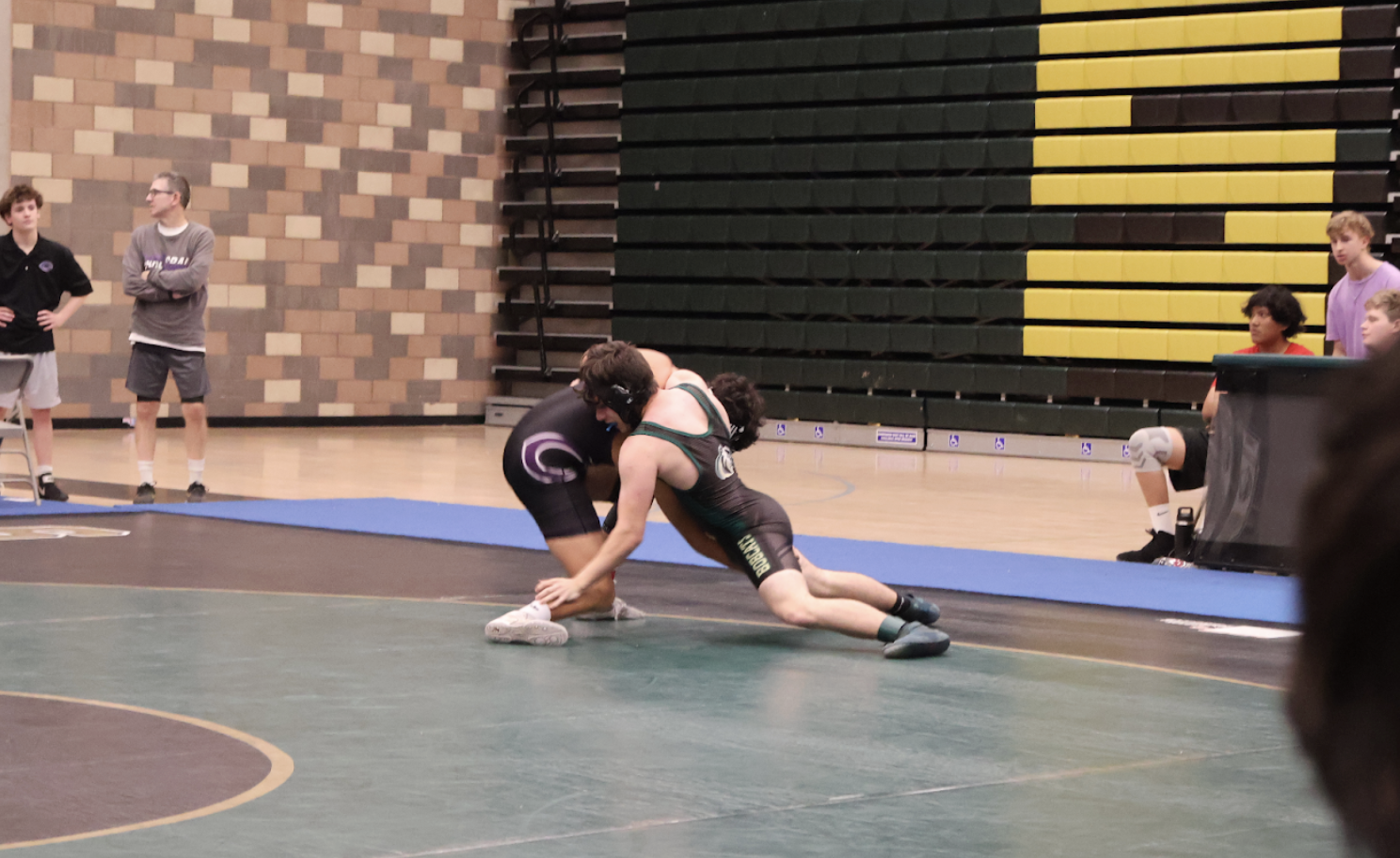 Wrestling Match in Photos