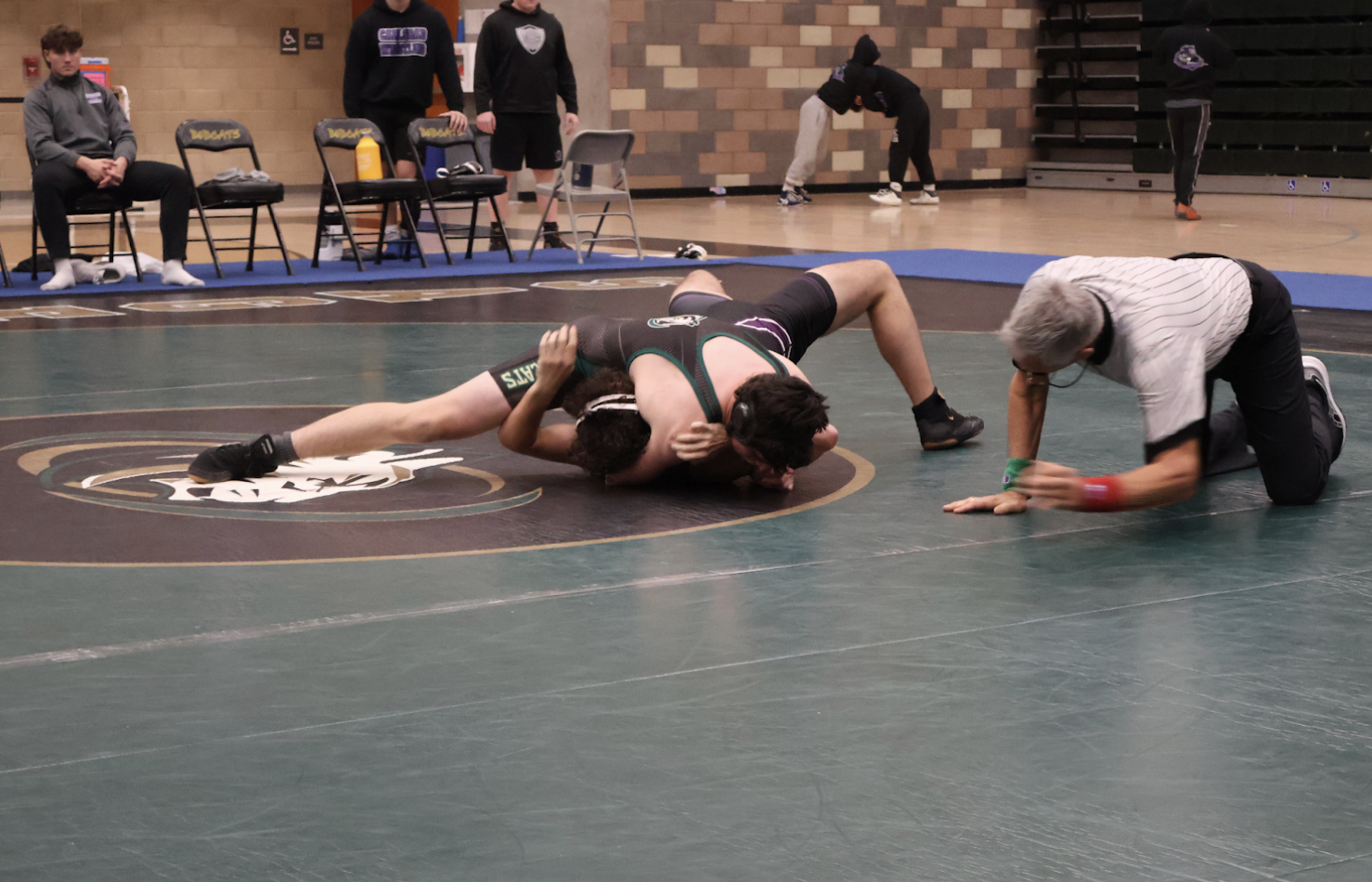 Wrestling Match in Photos