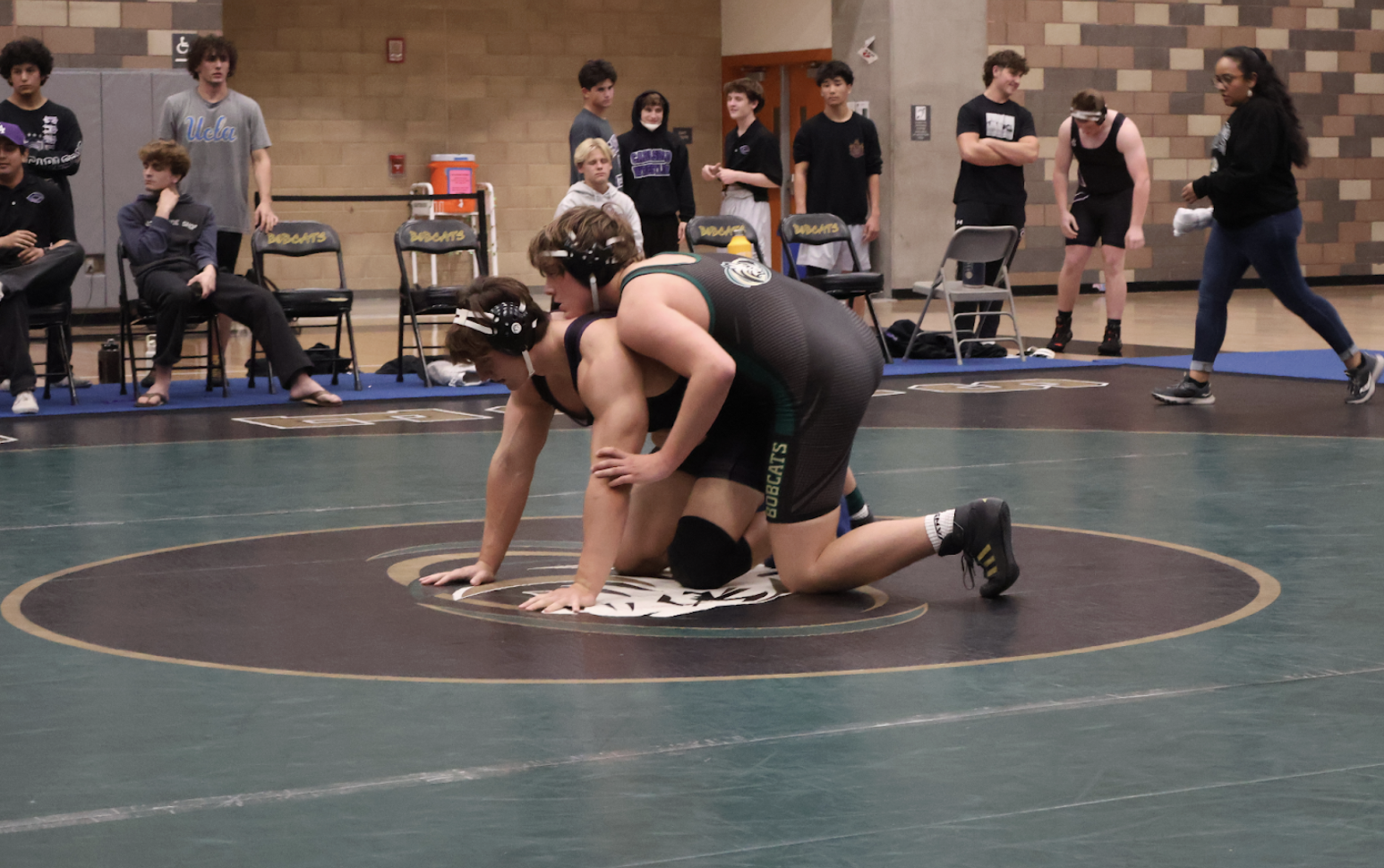 Wrestling Match in Photos