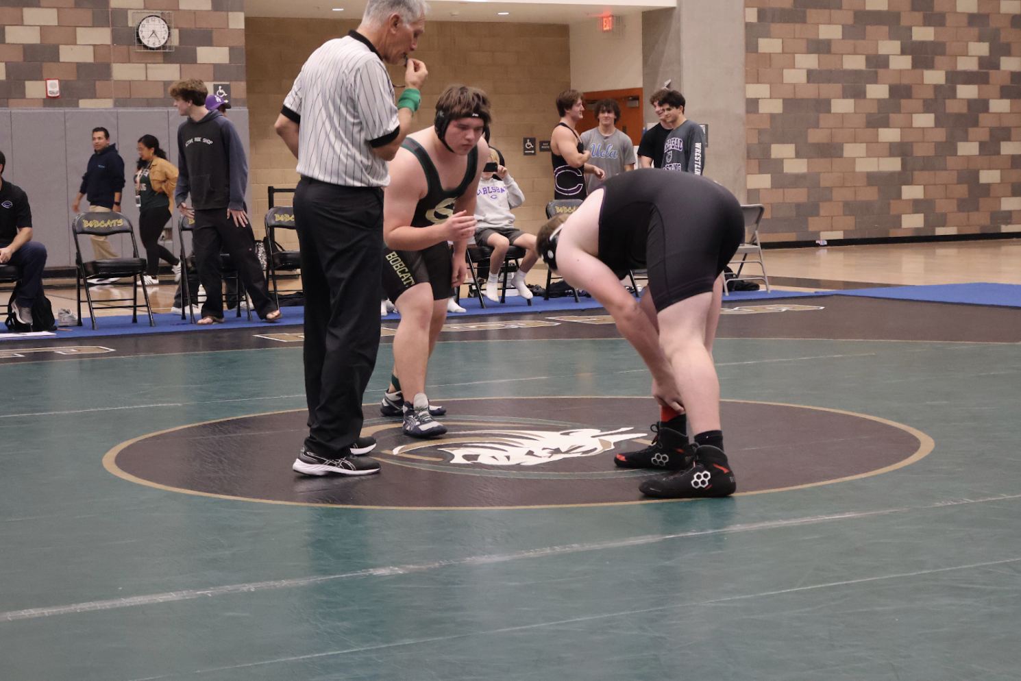Wrestling Match in Photos