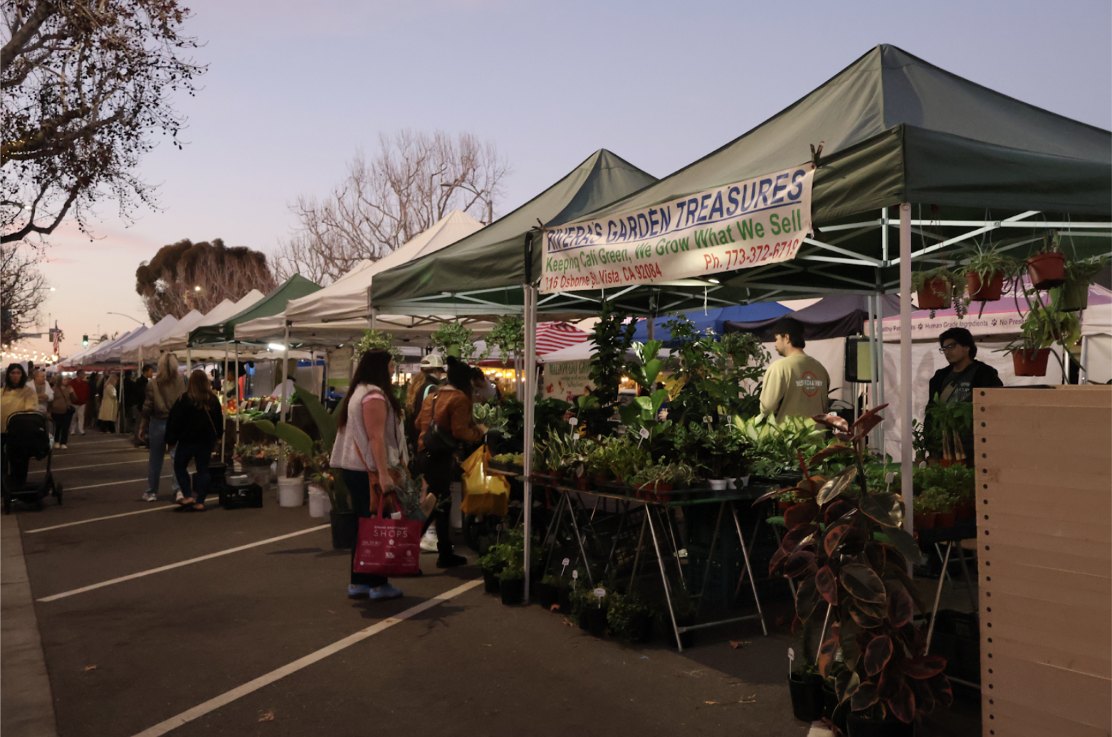Farmers Market in Photos