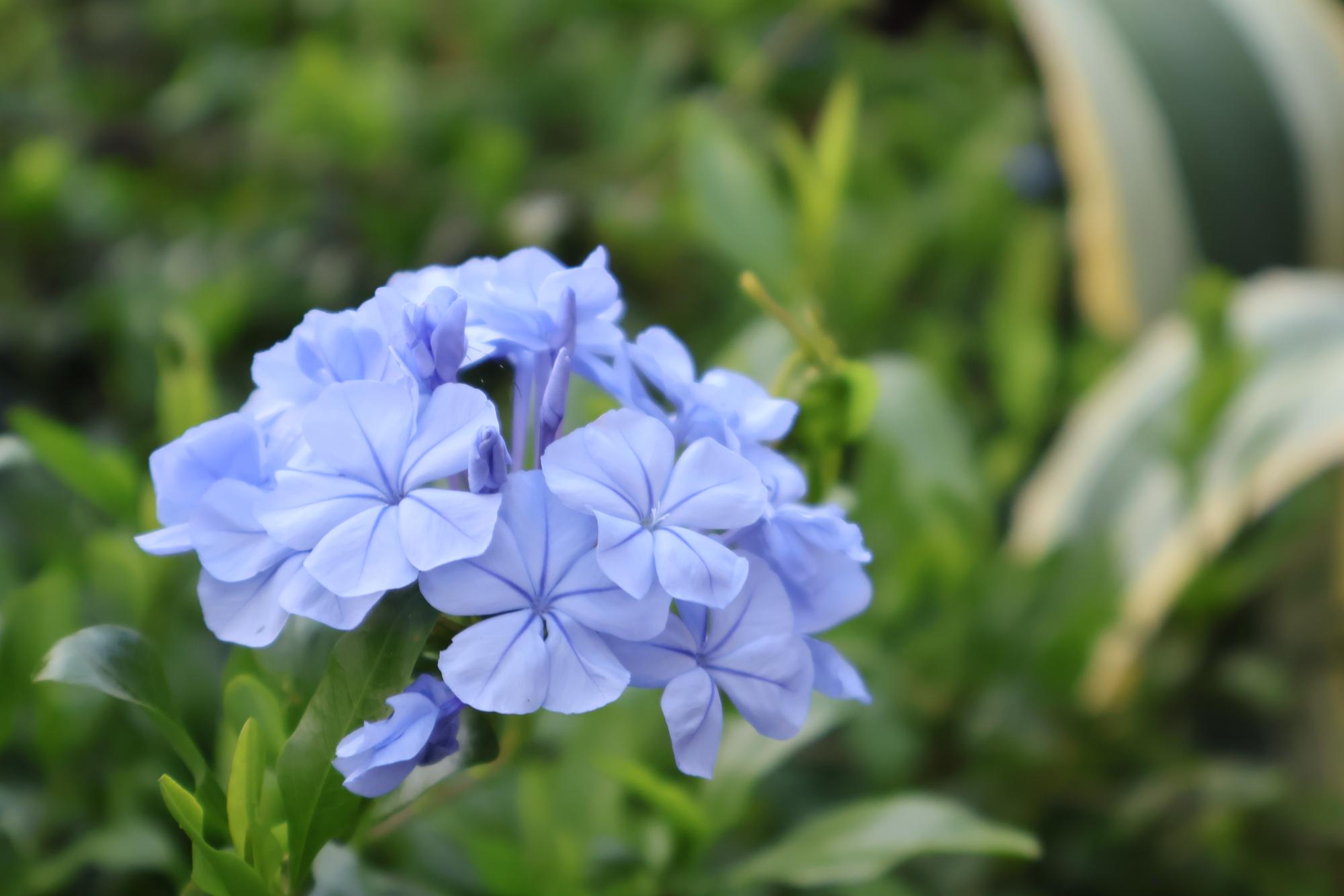 Hidden Beauty around Carlsbad