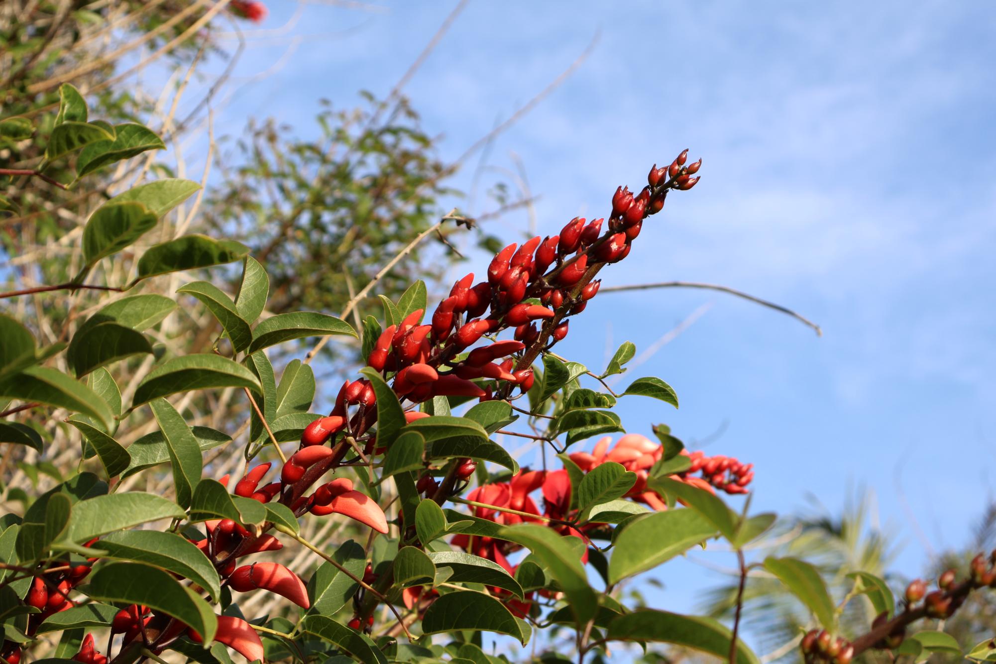 Hidden Beauty around Carlsbad