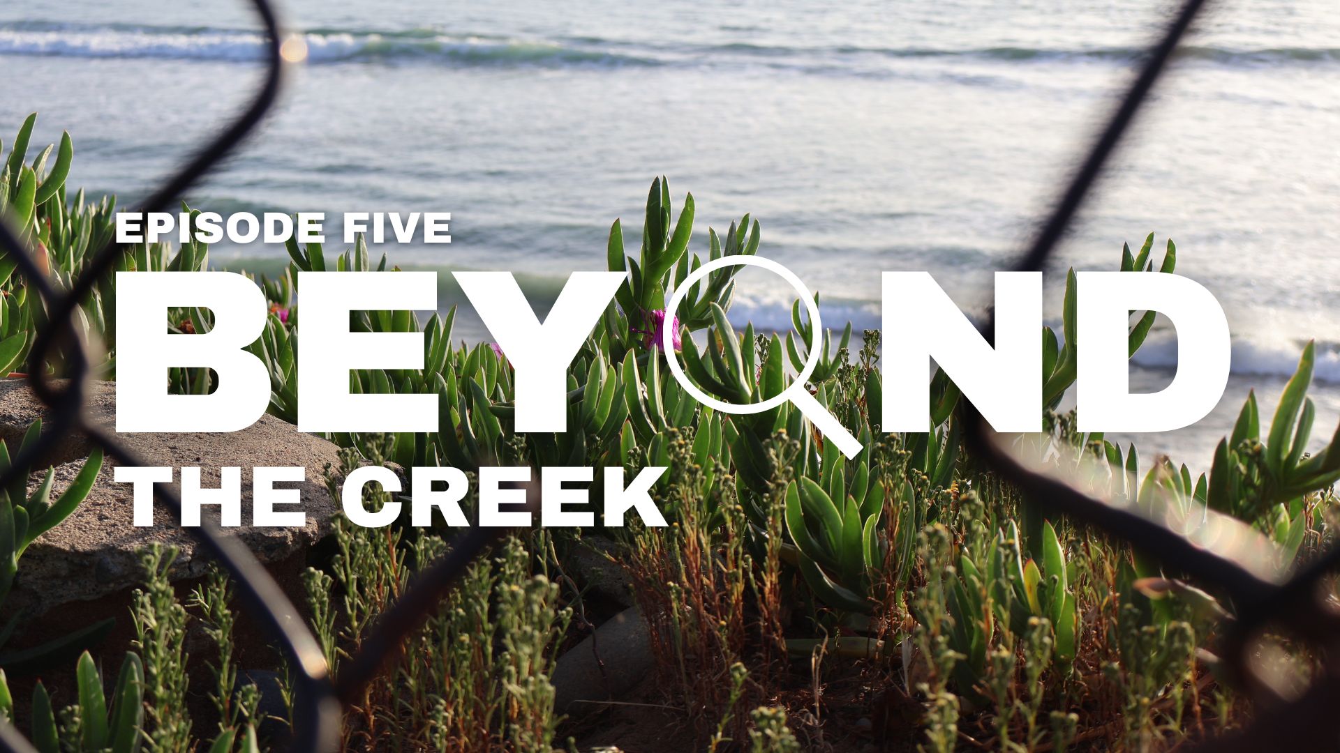 Beyond The Creek: May 15, 2026